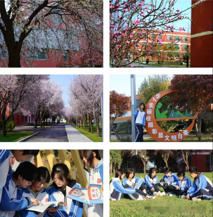 2025年西安东方美术综合职业高中招生简章 图片.png