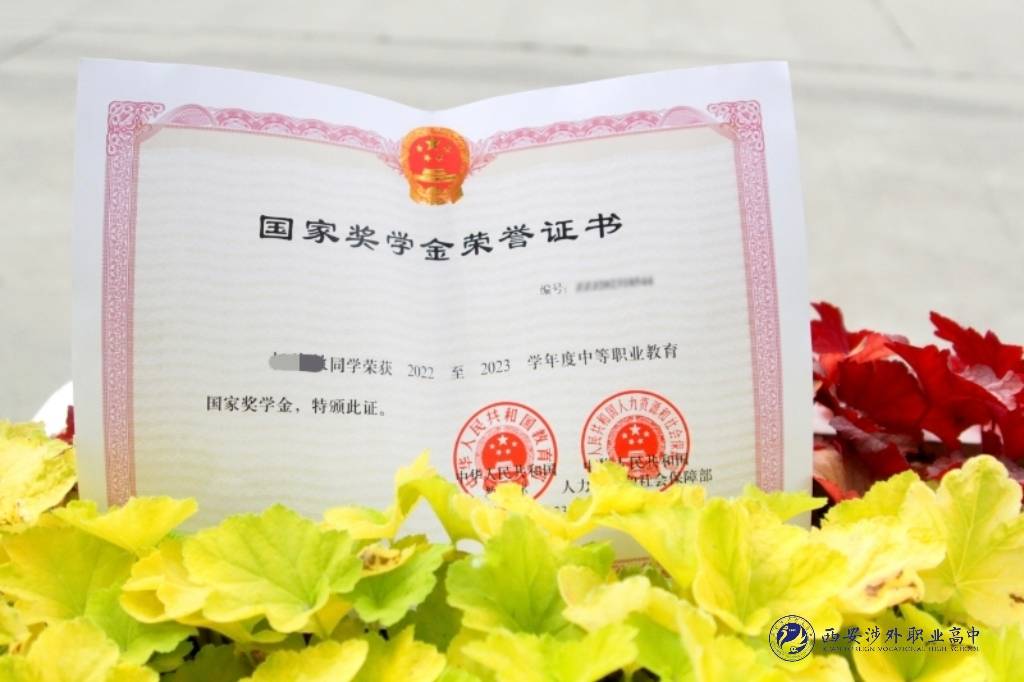 2025年西安涉外职业高中招生简章 2025年西安涉外职业高中招生简章