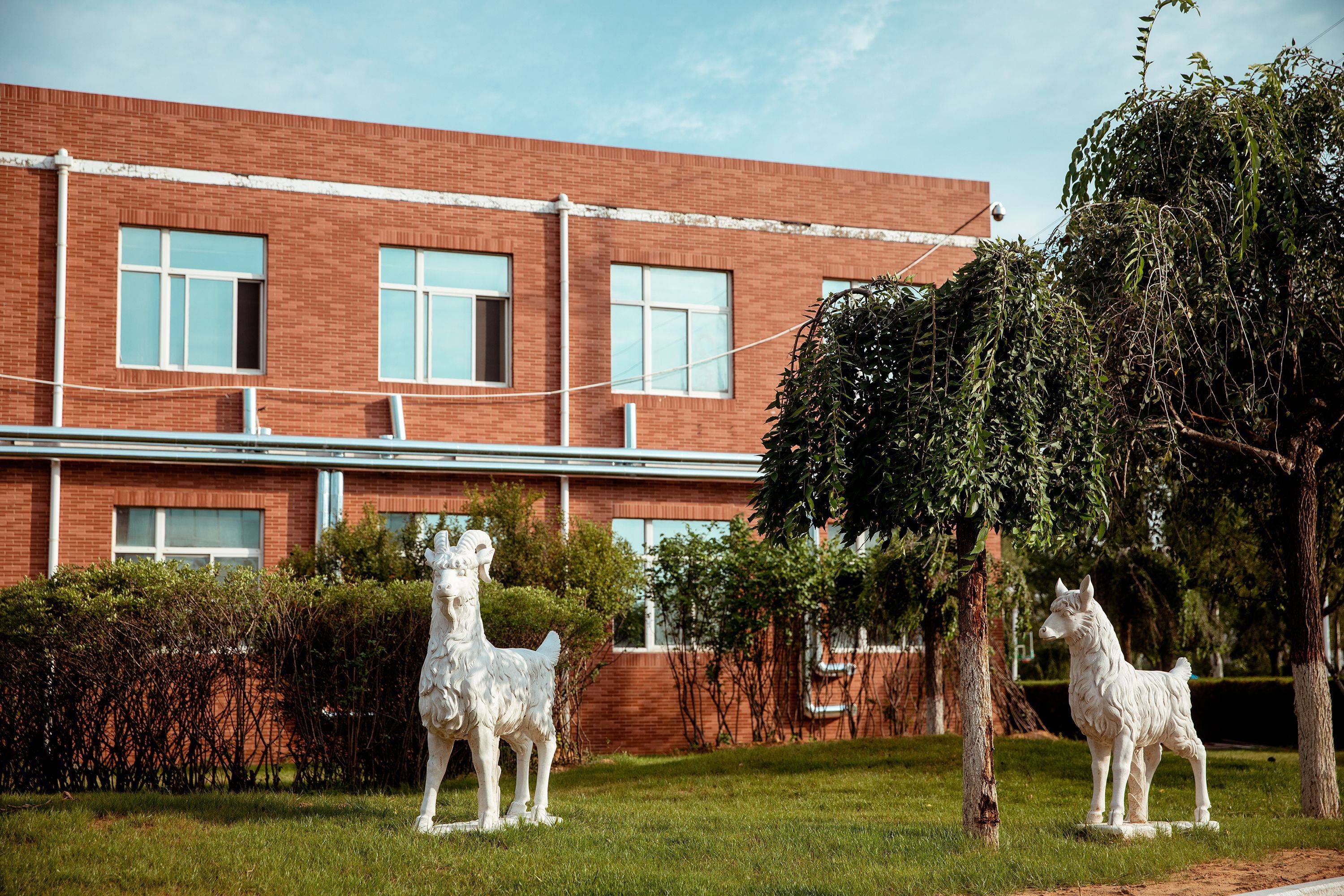 榆林文投职业学校